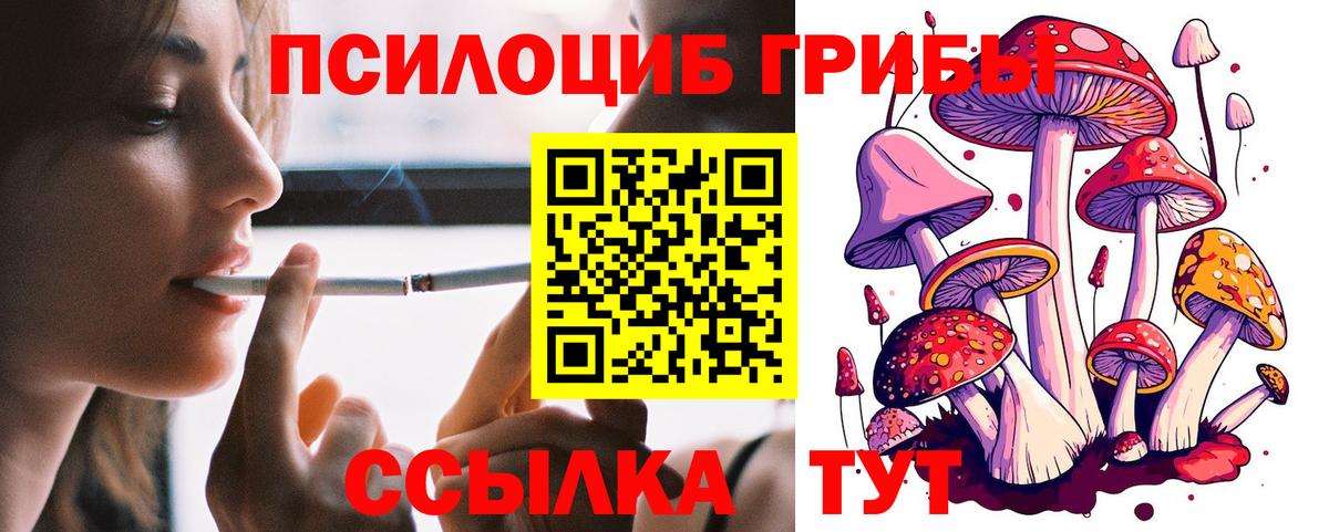 Ивантеевка  Псилоцибиновые грибы Magic Shrooms  Вход с VPN 